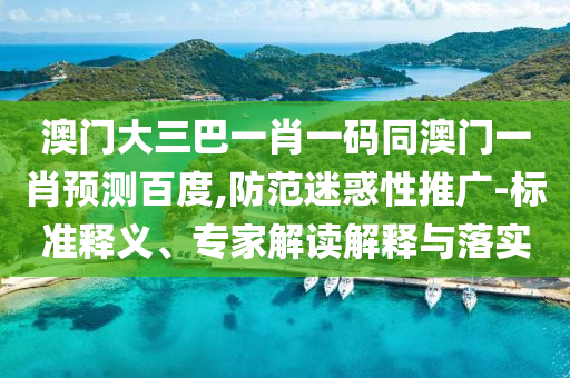 澳门大三巴一肖一码同澳门一肖预测百度,防范迷惑性推广-标准释义、专家解读解释与落实